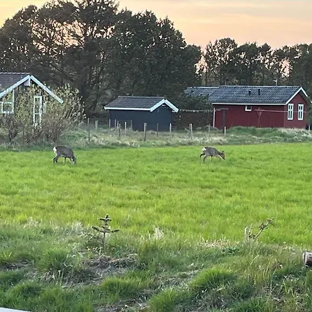 Lk2044-lokken-kringelbaekvej-81 * Løkken